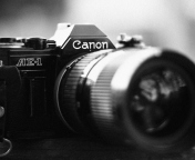 Screenshot №1 pro téma Ae-1 Canon Camera 176x144