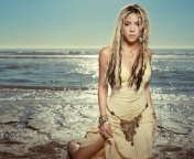 Screenshot №1 pro téma Shakira 176x144