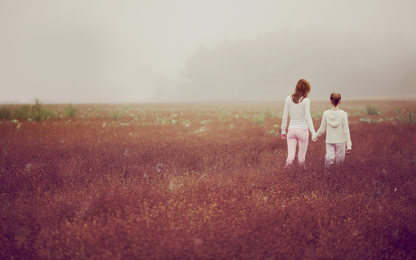 Das Two Girls Walking In The Field Wallpaper 1440x900