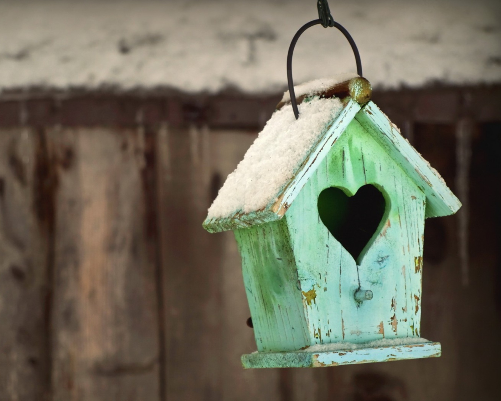 Valentine's Birds House screenshot #1 1600x1280