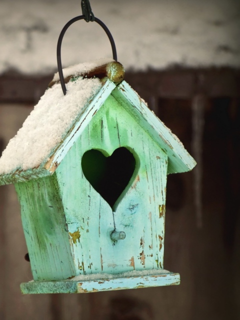 Valentine's Birds House screenshot #1 480x640