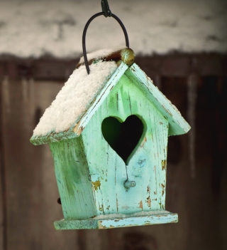 Valentine's Birds House - Obrázkek zdarma pro 1024x1024