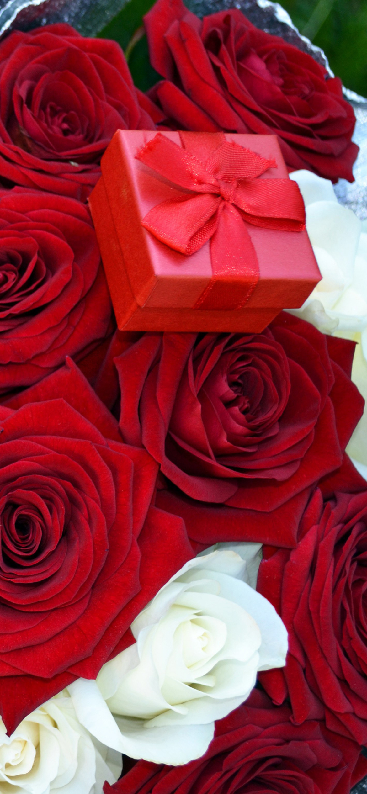 Screenshot №1 pro téma Roses for Propose 1170x2532