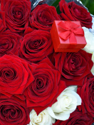 Das Roses for Propose Wallpaper 132x176