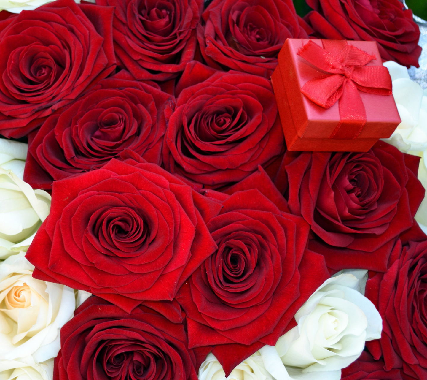 Обои Roses for Propose 1440x1280