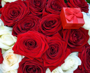 Roses for Propose wallpaper 176x144