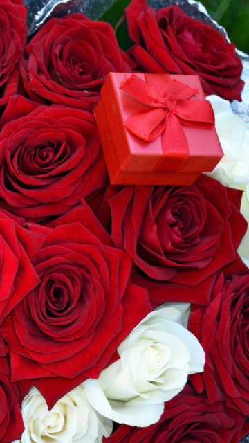 Das Roses for Propose Wallpaper 360x640