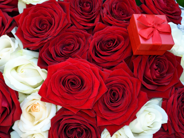 Das Roses for Propose Wallpaper 640x480