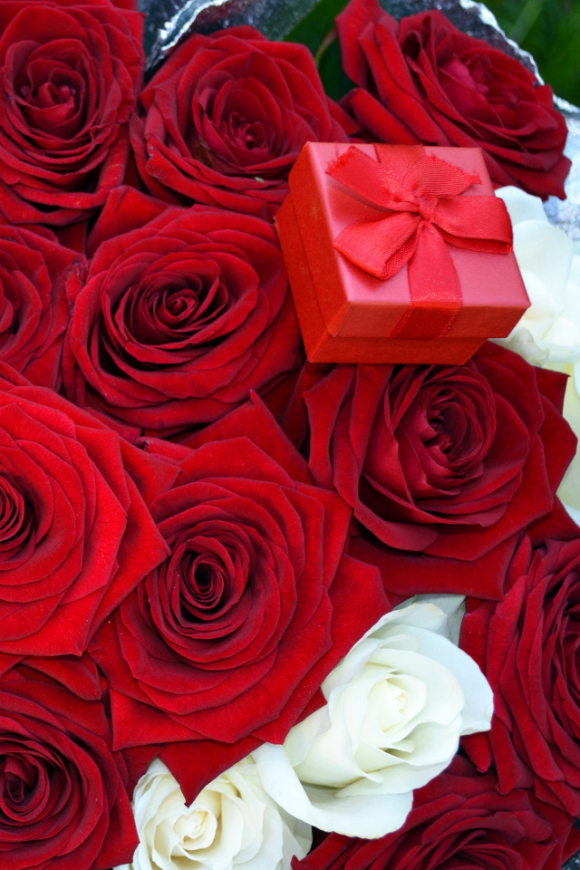 Roses for Propose wallpaper 640x960