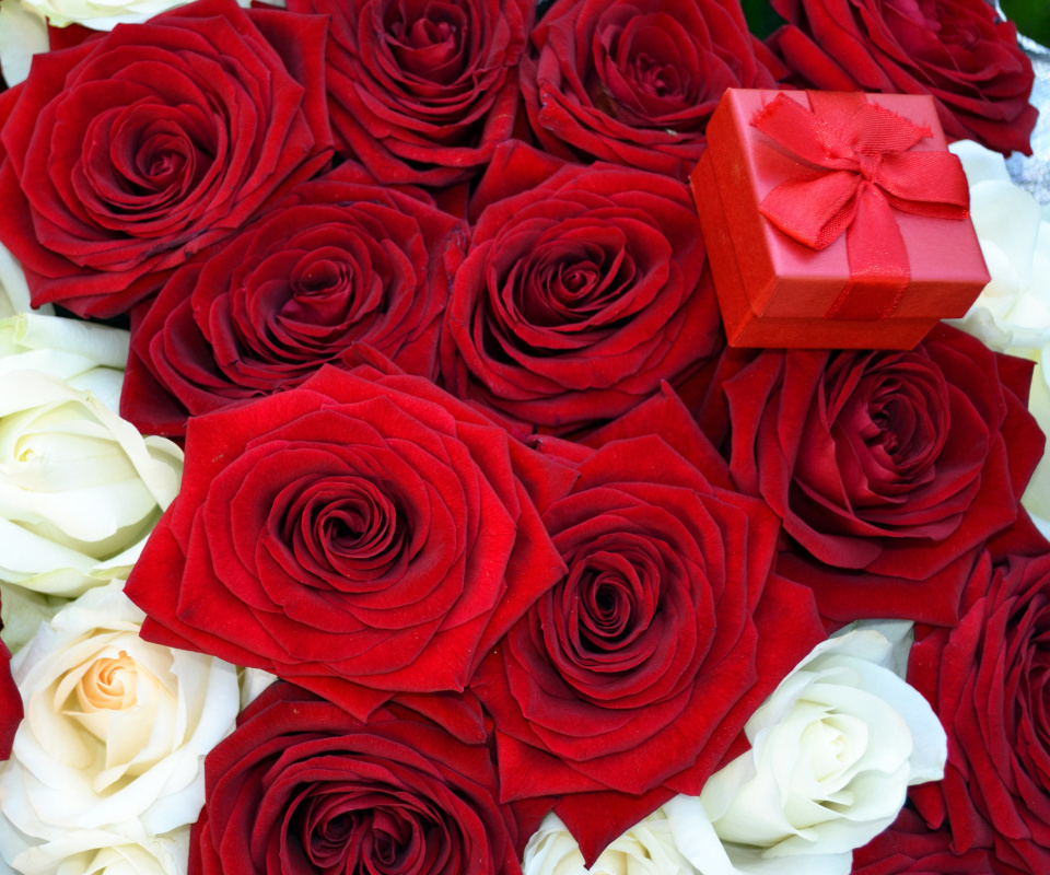 Das Roses for Propose Wallpaper 960x800