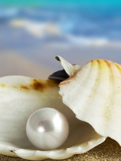 Pearl And Seashell wallpaper 240x320