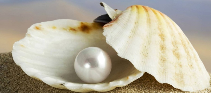 Sfondi Pearl And Seashell 720x320