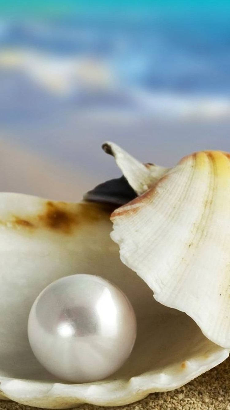 Das Pearl And Seashell Wallpaper 750x1334