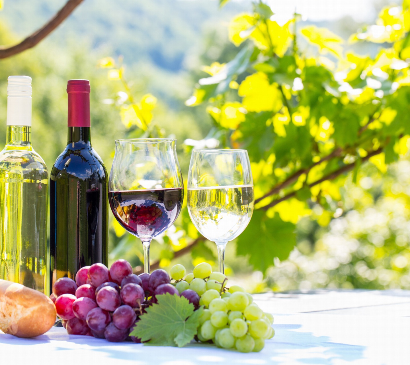 White and Red Greece Wine wallpaper 1440x1280