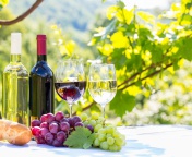 Sfondi White and Red Greece Wine 176x144
