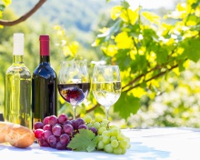 White and Red Greece Wine wallpaper 220x176