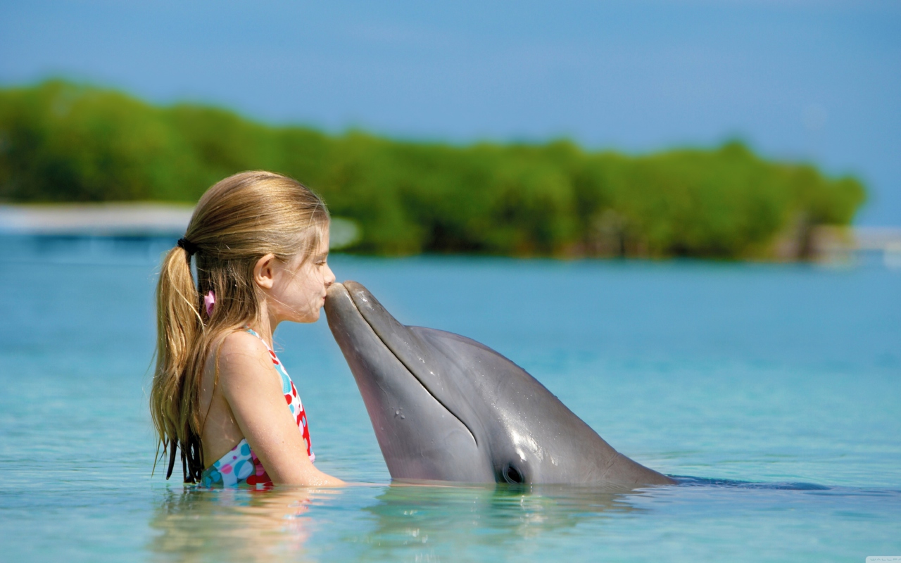 Friendship Between Girl And Dolphin wallpaper 1280x800