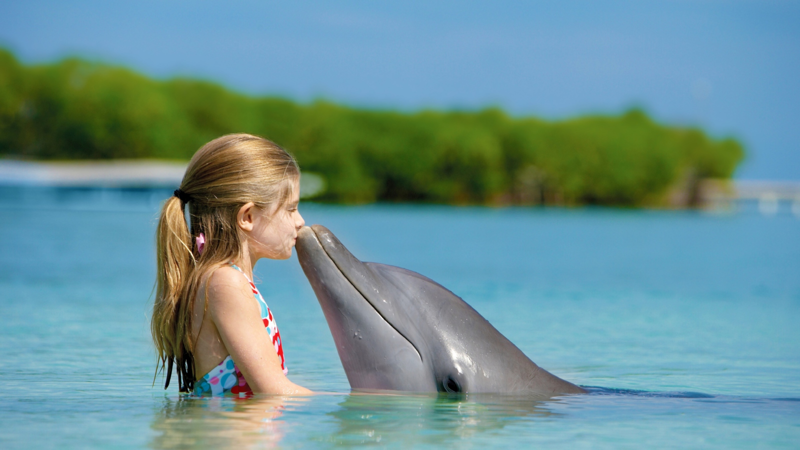 Обои Friendship Between Girl And Dolphin 1600x900