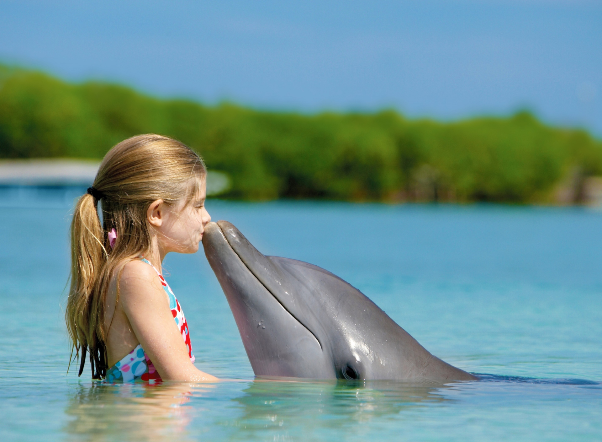 Обои Friendship Between Girl And Dolphin 1920x1408