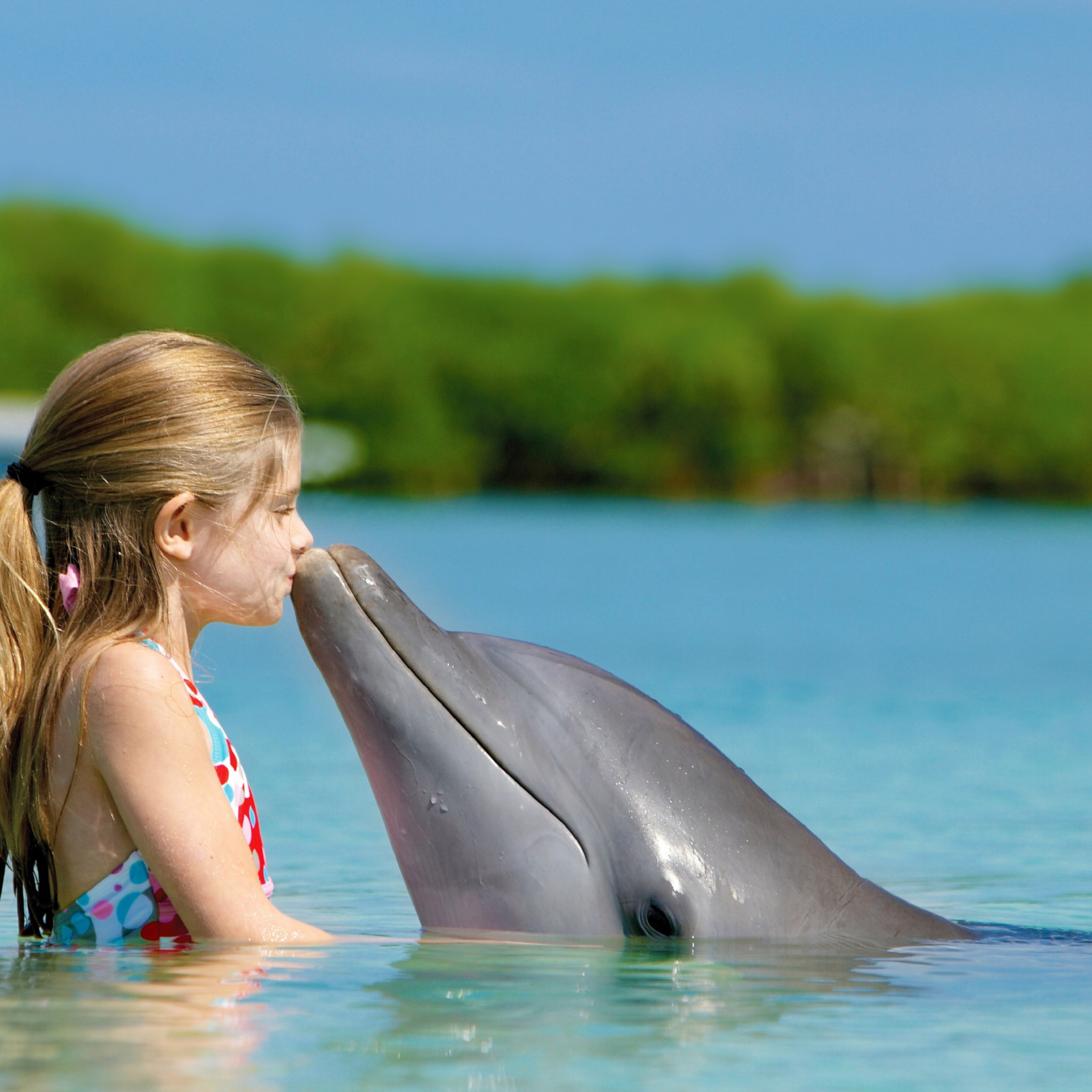 Обои Friendship Between Girl And Dolphin 2048x2048