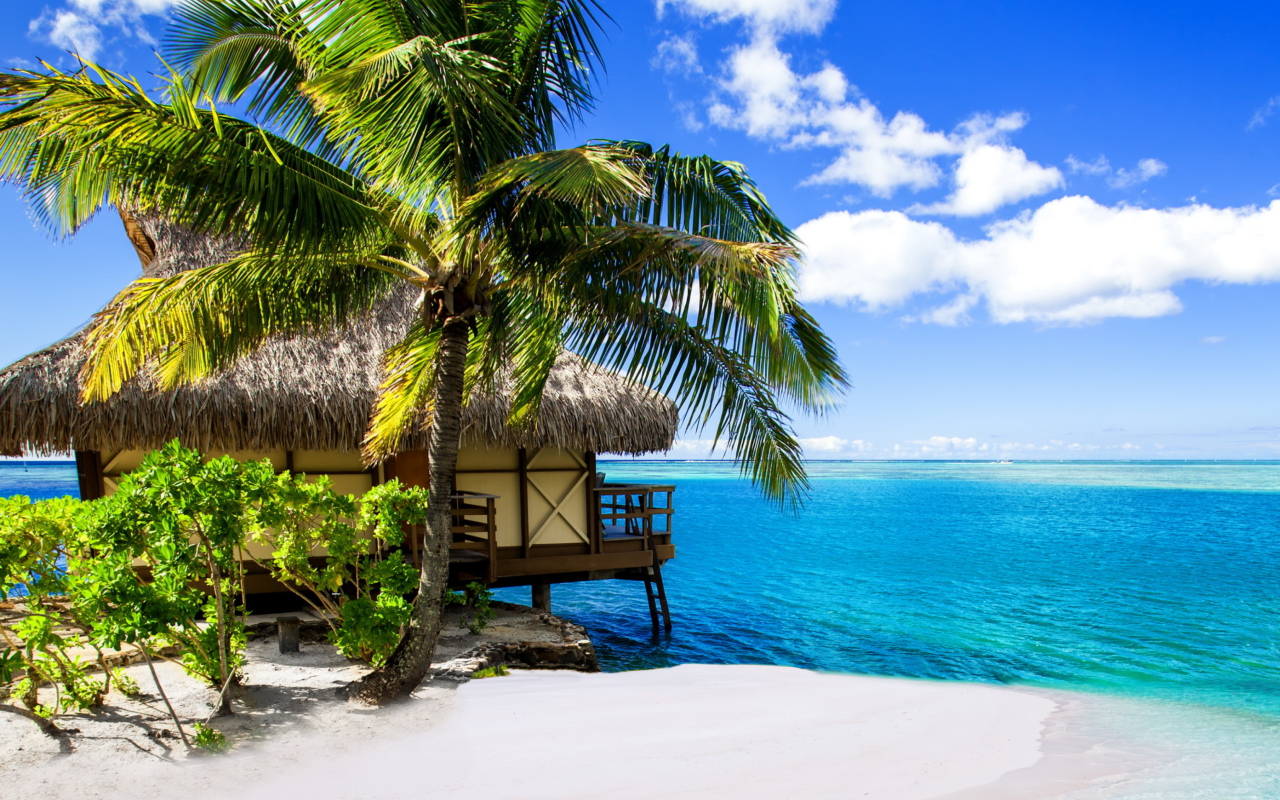 Fondo de pantalla Tropical Paradise - Villa Aquamare 1280x800