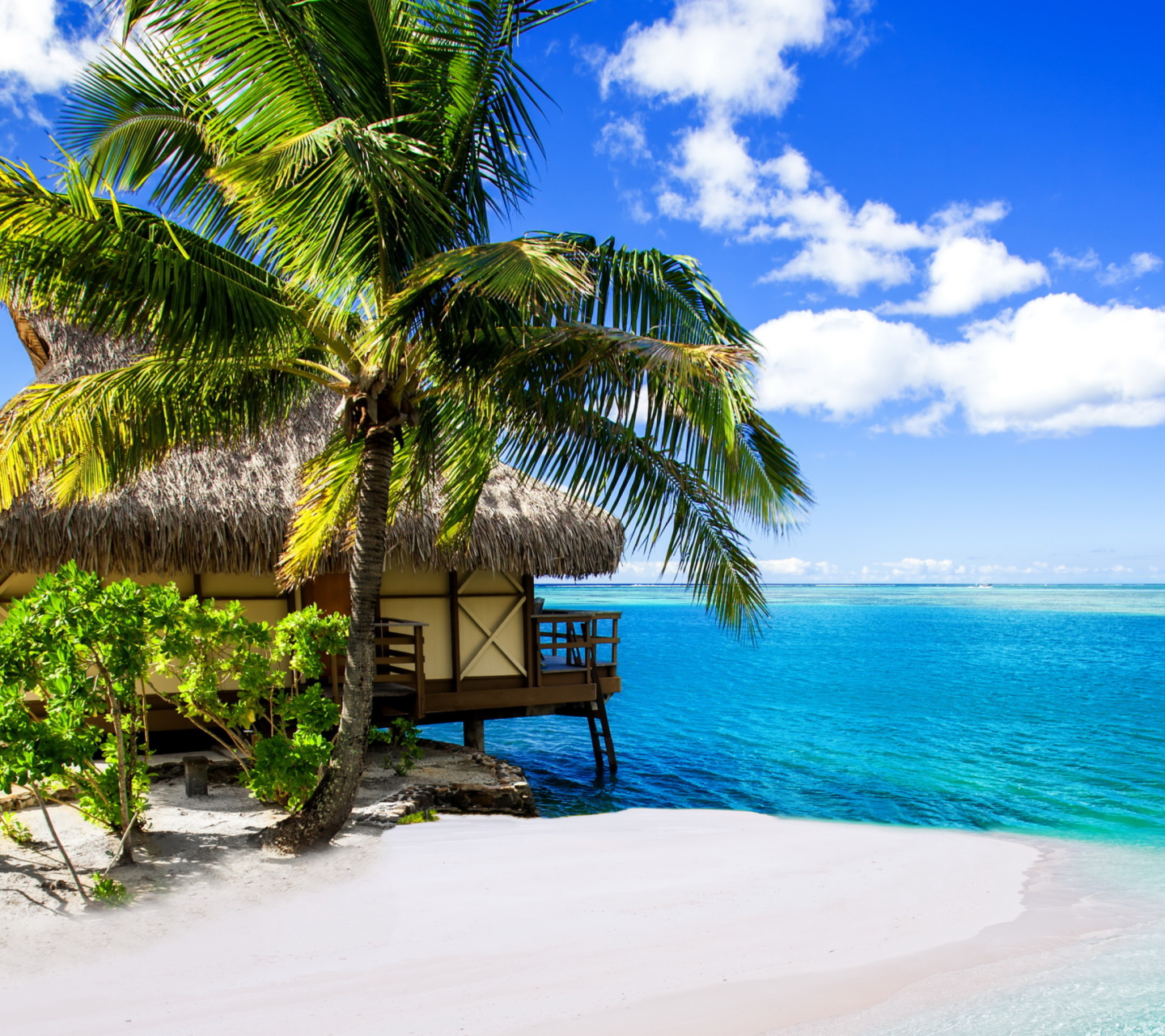 Обои Tropical Paradise - Villa Aquamare 1440x1280