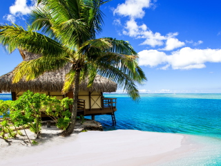 Обои Tropical Paradise - Villa Aquamare 320x240