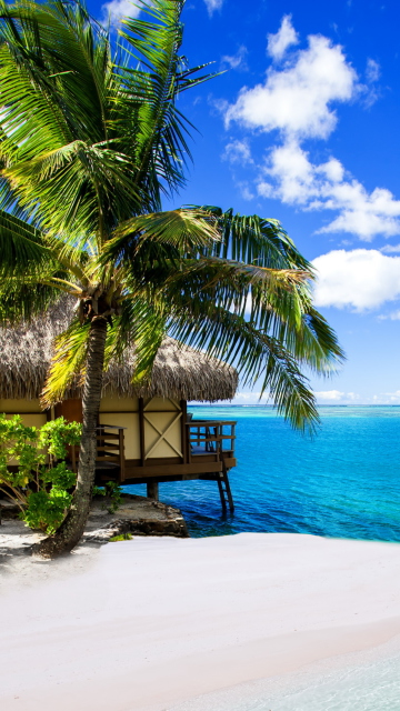 Fondo de pantalla Tropical Paradise - Villa Aquamare 360x640