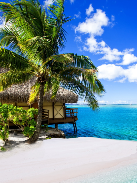 Fondo de pantalla Tropical Paradise - Villa Aquamare 480x640
