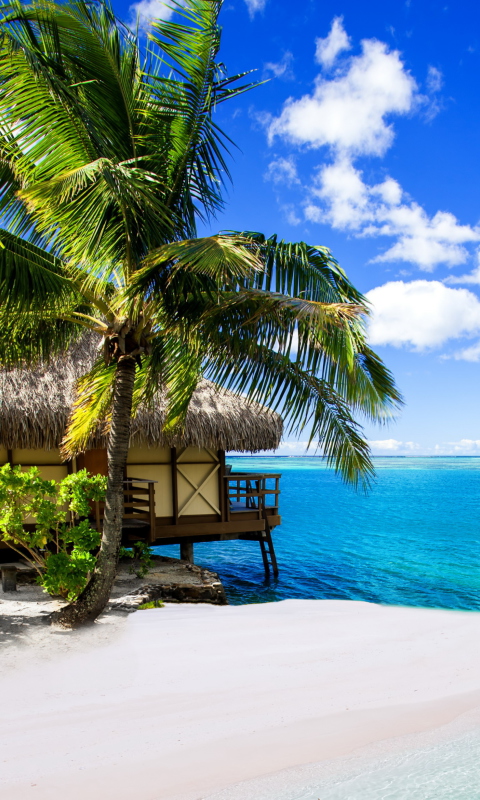 Fondo de pantalla Tropical Paradise - Villa Aquamare 480x800