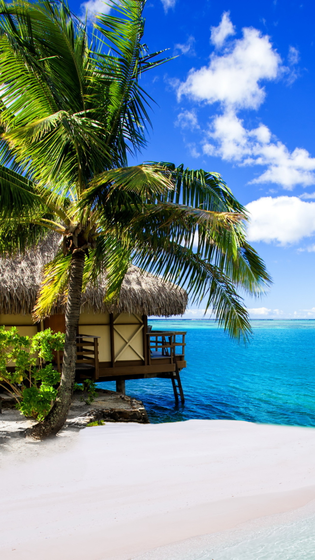 Tropical Paradise - Villa Aquamare wallpaper 640x1136
