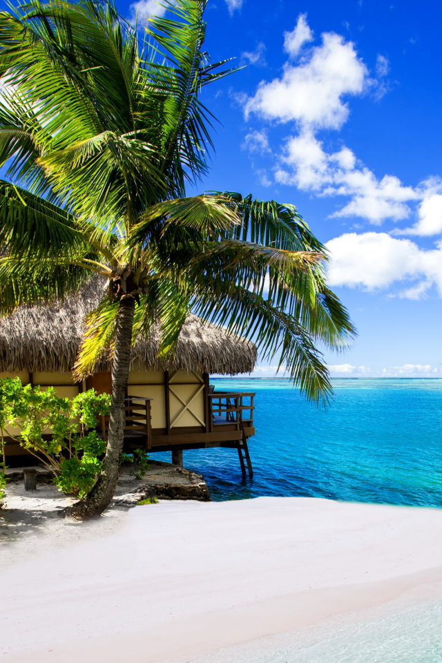 Fondo de pantalla Tropical Paradise - Villa Aquamare 640x960