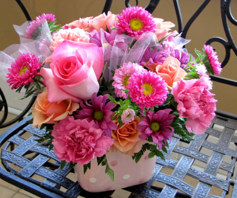 Fondo de pantalla Roses and Carnations 480x400