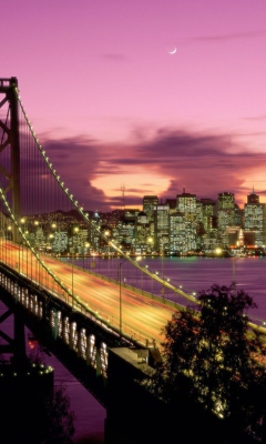 Das Bay Bridge - San Francisco California Wallpaper 240x400
