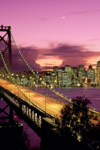 Обои Bay Bridge - San Francisco California 320x480