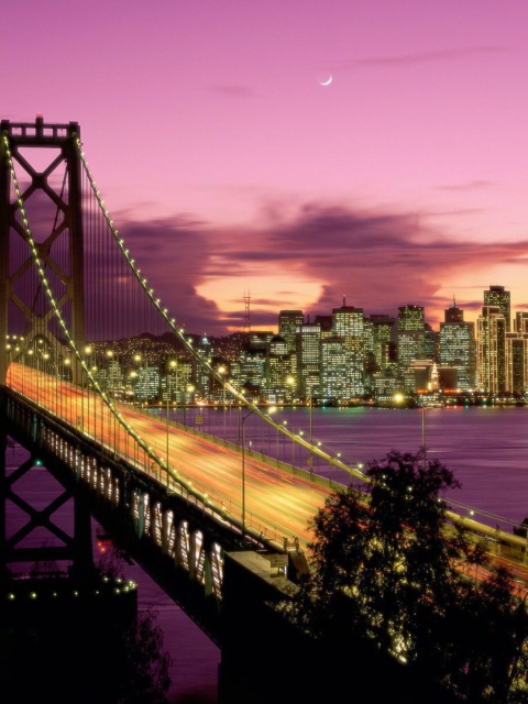 Das Bay Bridge - San Francisco California Wallpaper 480x640