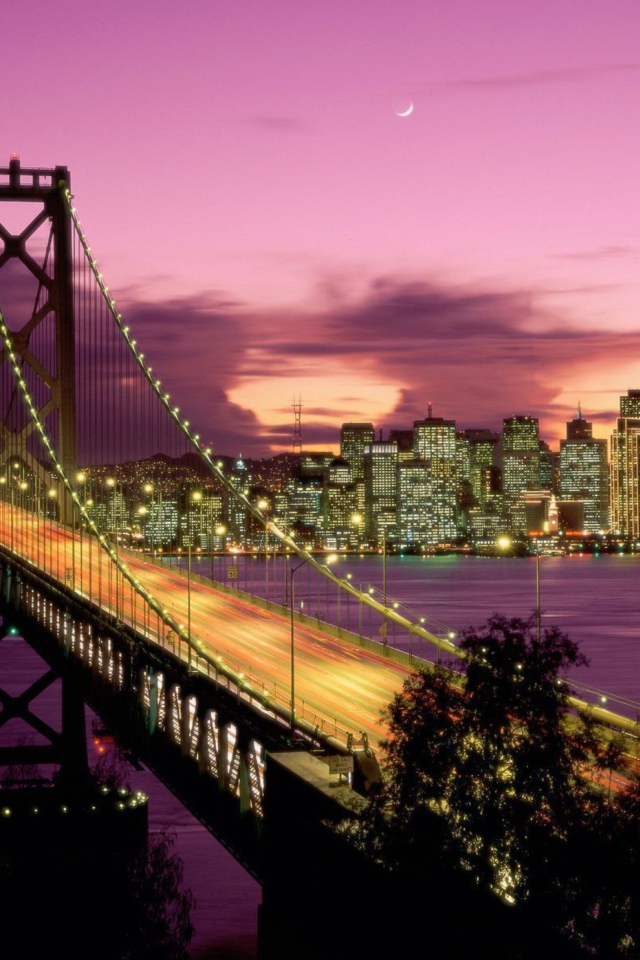 Bay Bridge - San Francisco California screenshot #1 640x960