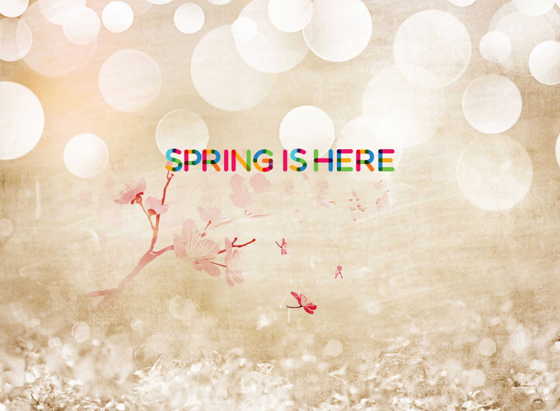 Fondo de pantalla Spring Is Here 1920x1408