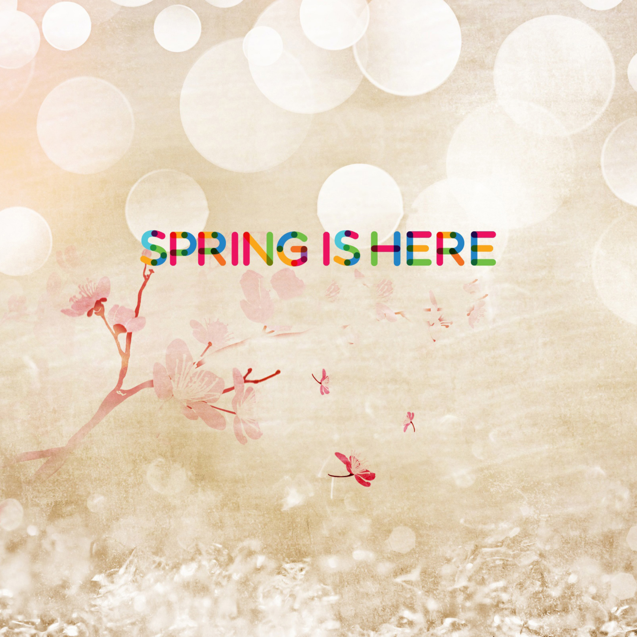 Spring Is Here wallpaper 2048x2048
