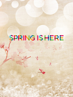 Spring Is Here wallpaper 240x320