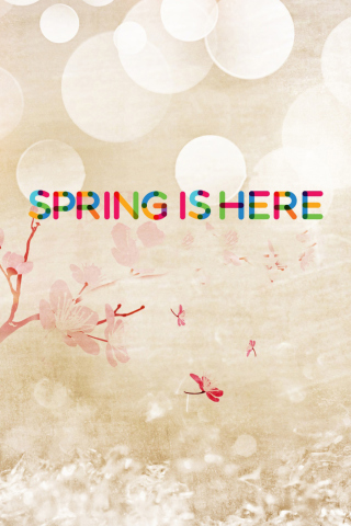 Spring Is Here wallpaper 320x480