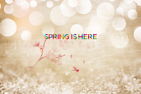 Das Spring Is Here Wallpaper 480x320
