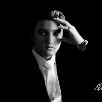 Elvis Presley screenshot #1 208x208