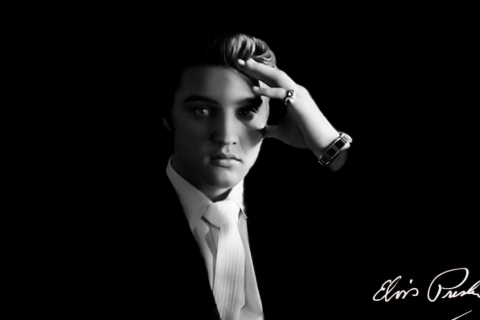 Fondo de pantalla Elvis Presley 480x320