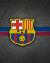 Screenshot №1 pro téma FC Barcelona 176x220