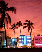 Miami Florida screenshot #1 176x220