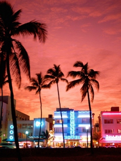 Miami Florida screenshot #1 240x320
