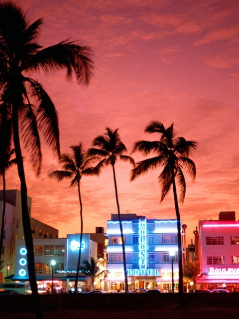 Miami Florida screenshot #1 480x640