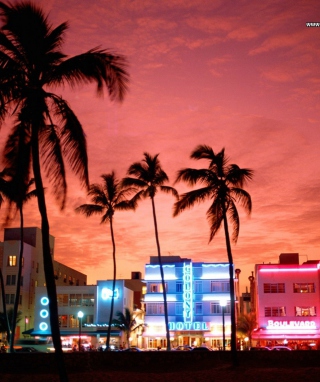 Miami Florida - Obrázkek zdarma pro Nokia 7600