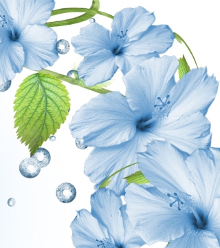 Hibiscus Petals - Fondos de pantalla gratis para Samsung E1150